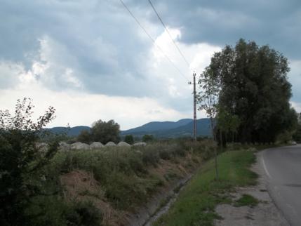100_0617_429x322.jpg